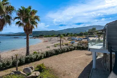 a beach with a palm tree and a house at Le Roc - 1er étage - Splendide Vue Mer in Coti-Chiavari