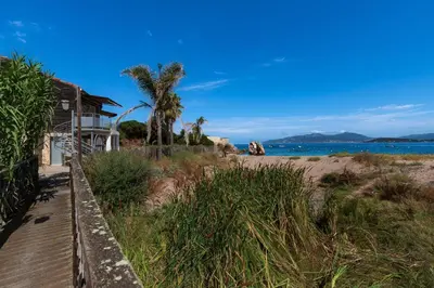a house on a beach with palm trees and the ocean at Le Roc - RDC - Splendide Vue Mer in Coti-Chiavari