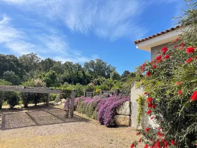 a garden with purple and red flowers next to a building at Villa Serenita vue mer in Sainte-Lucie de Porto-Vecchio
