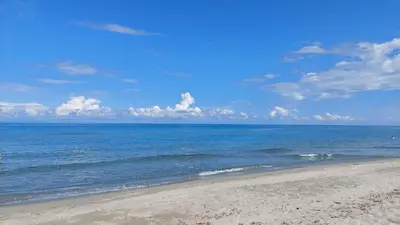 a beach with the ocean on a sunny day at Le nid des agrumes in Lucciana