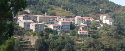a group of buildings on a hill with trees at Appartement Casa Rose in Sollacaro