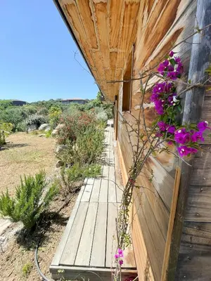 a house with a garden with rocks in front of it at Modern Villa With Sea View In Corsica in Pianottoli-Caldarello