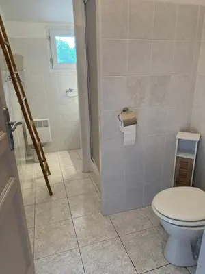 a bathroom with a toilet and a walk in shower at Mini villa Corse du sud Residence U Re D Alzetu in Lecci