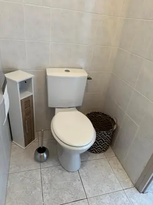 a bathroom with a white toilet in a room at Mini villa Corse du sud Residence U Re D Alzetu in Lecci