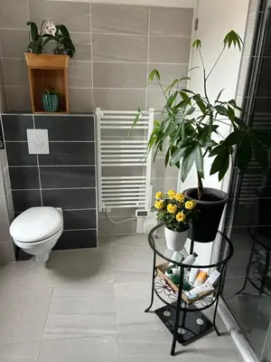 a bathroom with a toilet and a plant on a shelf at Porticcio in Grosseto-Prugna