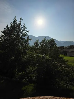 a view of a tree with the sun in the sky at Corsica sea mountain and pool in Santa-Maria-Poggio