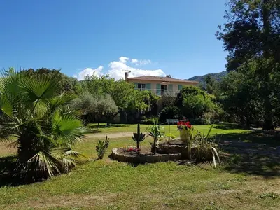 a house with a lot of plants in a yard at U PINU Appartement 3 chambres in Olmeto