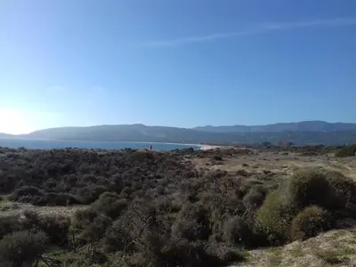 a view of the ocean from the top of a hill at U PINU Appartement 3 chambres in Olmeto