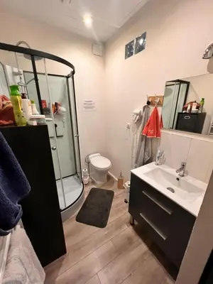 a bathroom with a shower and a sink and a toilet at Maison de vacances en Corse in Prunelli-di-Fiumorbo