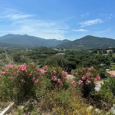 Proche Porticcio superbe T3 confort moderne au calme belle vue maquis et montagne