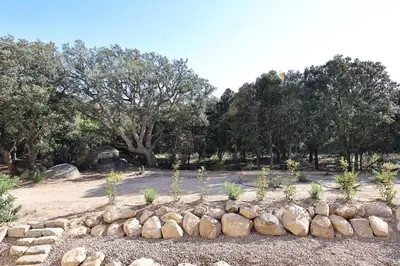a row of rocks and trees in a park at Stéphi - Superbe T2 accès plage, piscine chauffée in Pianottoli-Caldarello