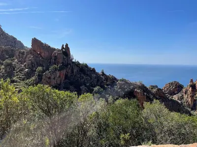 a view of a mountain with trees and the ocean at T3 en duplex au cœur de Piana in Piana