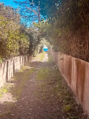 an alley with a fence and an arch of trees at Villa Poggiole in San-Nicolao