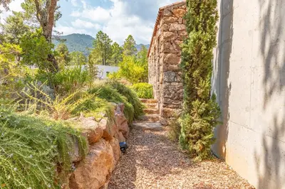 a stone wall with ivy growing on it at Villa Cupulatta Di Santa Lucia in Sainte-Lucie de Porto-Vecchio