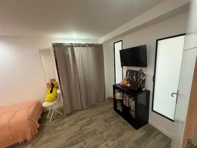 a bedroom with a bed and a mirror and a television at Appartement proche de la rivière et de la plage ! in Vico