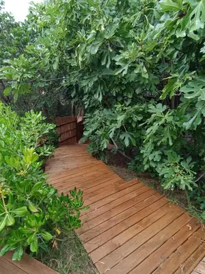 a wooden walkway through a hedge with trees at Chalet et Mobile Home, au sein du maquis Corse avec piscine PRIVATIVE 9mx4m in Zonza