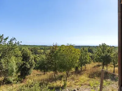 a view of a field with trees in the background at Holiday Home Casa Murato by Interhome in San-Giuliano