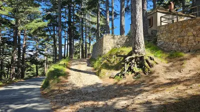 a tree on the side of a dirt road at CHALET BAVEDDA- Accès chemins de randonnée- Calme - Montagne in Quenza