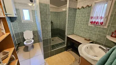 a bathroom with a toilet and a shower and a sink at CHALET BAVEDDA- Accès chemins de randonnée- Calme - Montagne in Quenza
