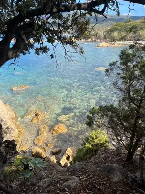 a view of a body of water with rocks and trees at Maison 30 mètres de la plage in Serra-di-Ferro