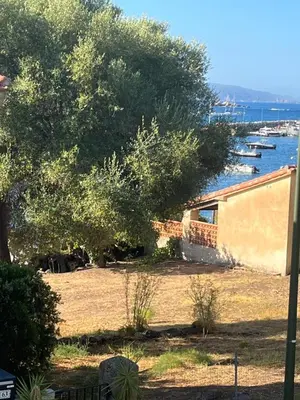 a tree and a building with boats in the water at Maison 30 mètres de la plage in Serra-di-Ferro