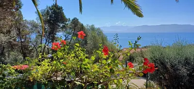 a garden with red flowers and a view of the water at Duplex bord de mer avec jardin in Serra-di-Ferro