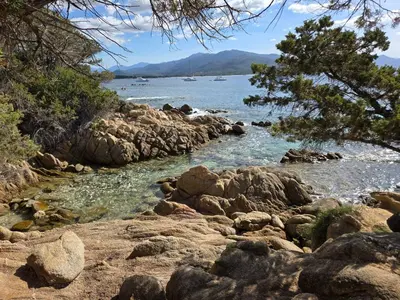 a rocky shore with trees and a body of water at Duplex bord de mer avec jardin in Serra-di-Ferro