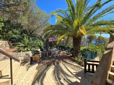 a patio with a palm tree and a table and chairs at Duplex bord de mer avec jardin in Serra-di-Ferro