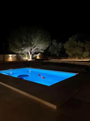 a swimming pool at night with a tree in the background at Superbe Villa Arià avec piscine chauffée in Calenzana