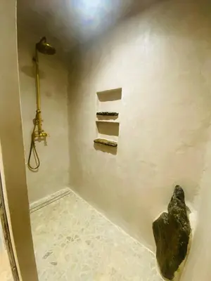 a bathroom with a shower with a rock on the wall at U Casellu in Oletta