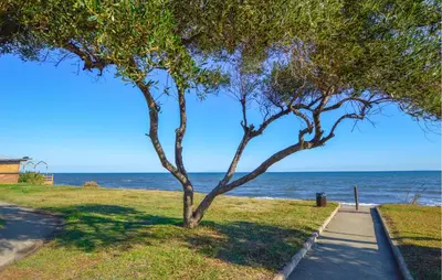 a tree on the side of a sidewalk next to the ocean at Villa Moderne Plage À Pieds in Prunete