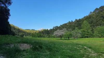 a field with trees in the middle of a field at Appartement neuf avec extérieur de plein pieds in Levie