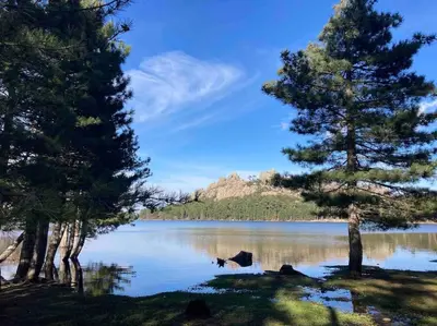a view of a lake with trees on the shore at charmante bergerie in Bonifacio
