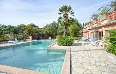 a swimming pool with chairs and a palm tree at Appartement Residence Piscine in Venzolasca