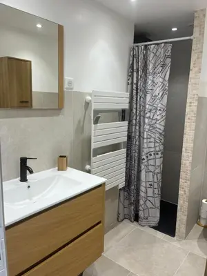 a bathroom with a sink and a shower curtain at Bel appartement pied dans l'eau PROPRIANO in Propriano