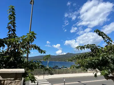 a view of the water and a street with trees at Bel appartement pied dans l'eau PROPRIANO in Propriano