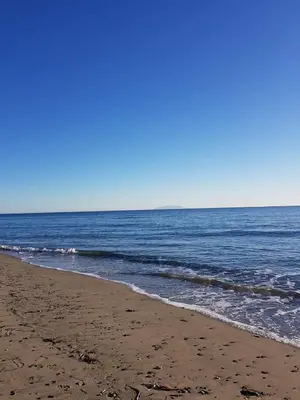 a beach with the ocean on a clear day at Villa bord de mer Résidence Alba Serena in Poggio-Mezzana