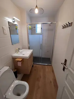 a bathroom with a shower and a toilet and a sink at Villa bord de mer Résidence Alba Serena in Poggio-Mezzana