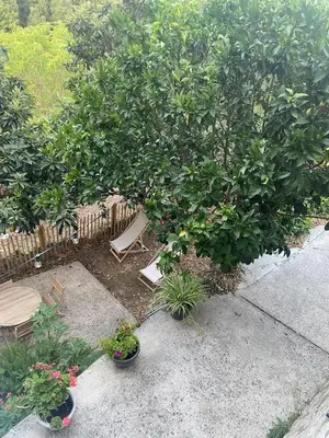 a garden with a bench and trees and plants at Sartène à pied in Sartène