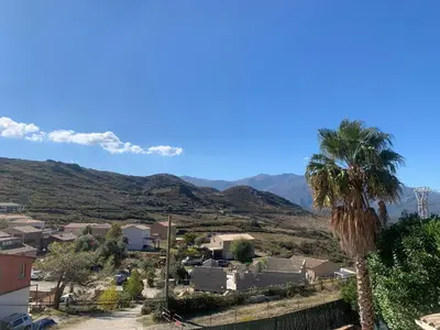 a palm tree in a small town with mountains at Casa pace e salute in Olmeta-di-Tuda