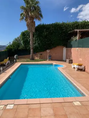 a swimming pool with a palm tree in a yard at Casa pace e salute in Olmeta-di-Tuda