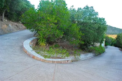 a small tree in the middle of a road at Villa F2 Tonnara pour 4 personnes, Rondinara, Bonifacio in Bonifacio