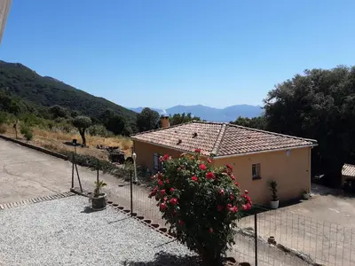 a house with a fence and a bush with flowers at La Palombière - L Arbousier in Casalabriva