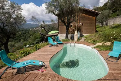 a pool with a bear laying in the water at Oliveraie d'Olmiccia in Olmiccia