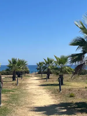 a dirt road with palm trees on the beach at Mini villa residence 3 étoiles Cervione in Cervione