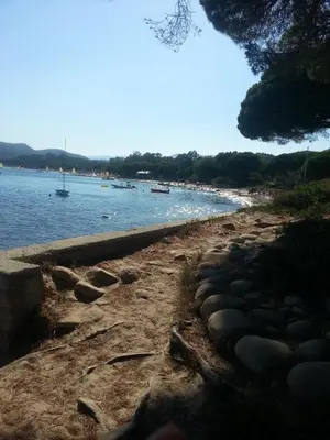 a beach with rocks on the side of the water at un oasi nel verde in Vaccili