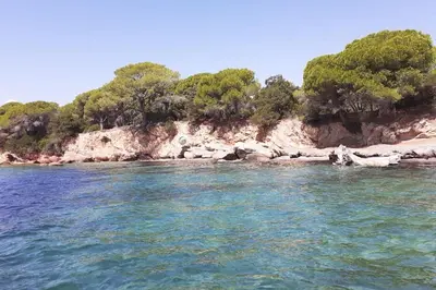 a body of water with trees on a rocky shore at un oasi nel verde in Vaccili