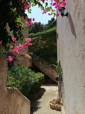 an alley with pink flowers on a wall at Villa Tarco, South Corsica, Sea View & Garden in Conca
