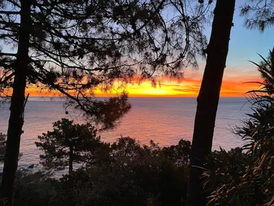 a sunset over the ocean with trees in the foreground at Villa Tarco, South Corsica, Sea View & Garden in Conca