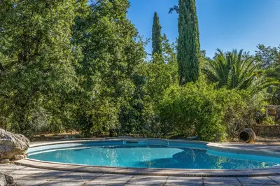 a swimming pool in a yard with trees at Casa U Quercitellu Ville-di-Paraso in Ville-di-Paraso